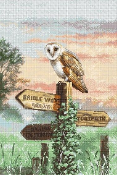 Barn Owl by LETISTITCH Counted cross stitch kit 2022