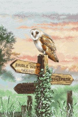 Barn Owl by LETISTITCH Counted cross stitch kit 2022