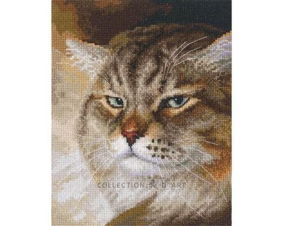 Macho by RTO. Sly and extremely beautiful. Cat Collection Сounted Cross Stitch Kit.
