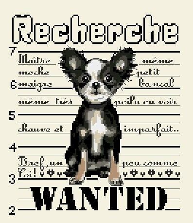 I want a Chihuaha by Isabelle Haccourt Vautier Printed cross stich pattern