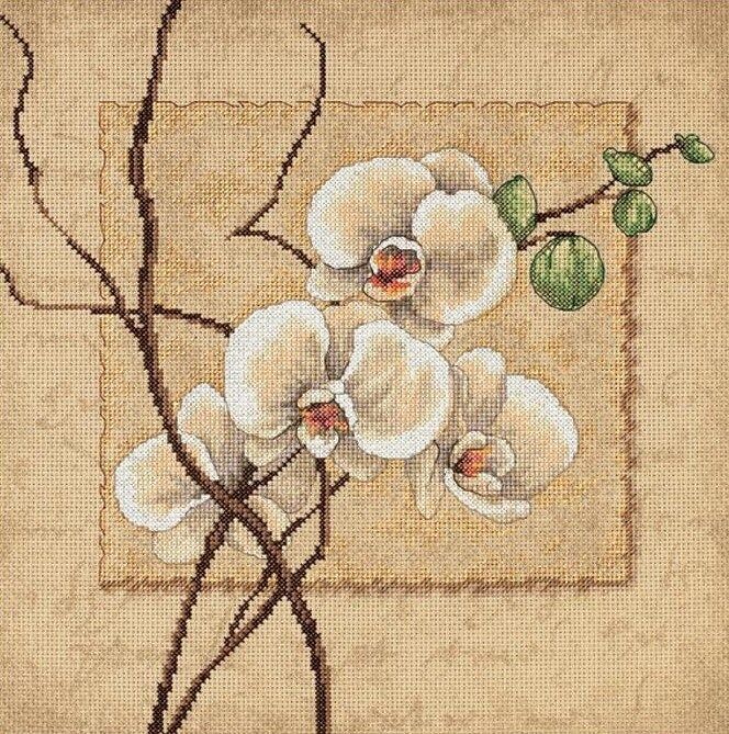 Oriental Orchids by Dimensions Floral counted Cross Stitch Kit