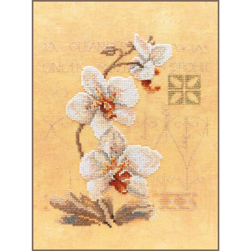 Three Orchids by Lanarte. Home and Garden Collection Counted Cross Stitch kit