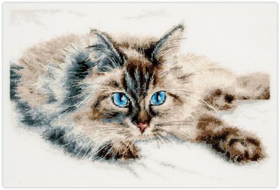 Fluffy Happiness by Magic Needle 2024 Counted cross stitch kit
