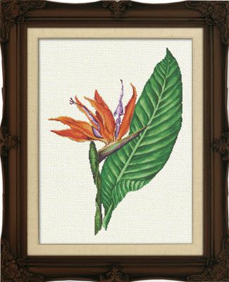 Bird Of Paradise by Bella Filipina Designs 2021 AU NATUREL Collection. Rare Floral Design by Drin Parilla