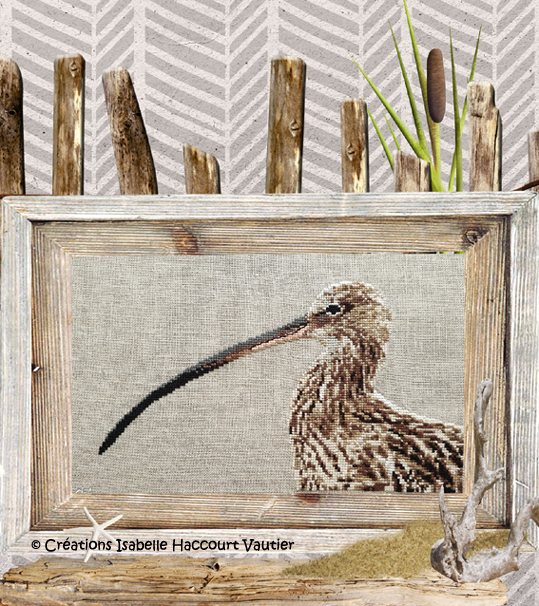 Le Courlis Cendré (Eurasian Curlew) by Isabelle Haccourt Vautier Collection Oleron by ISA Printed cross stich pattern