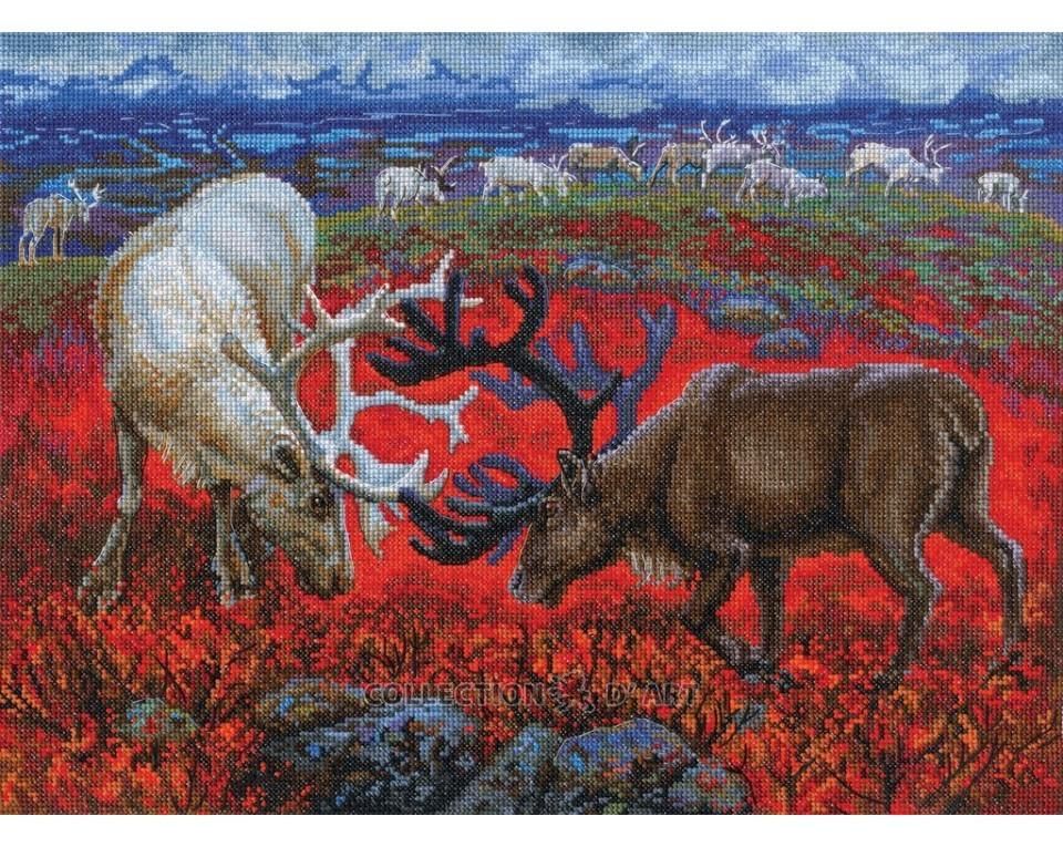 Law of the tundra by RTO. Counted Cross Stitch Kit 2024