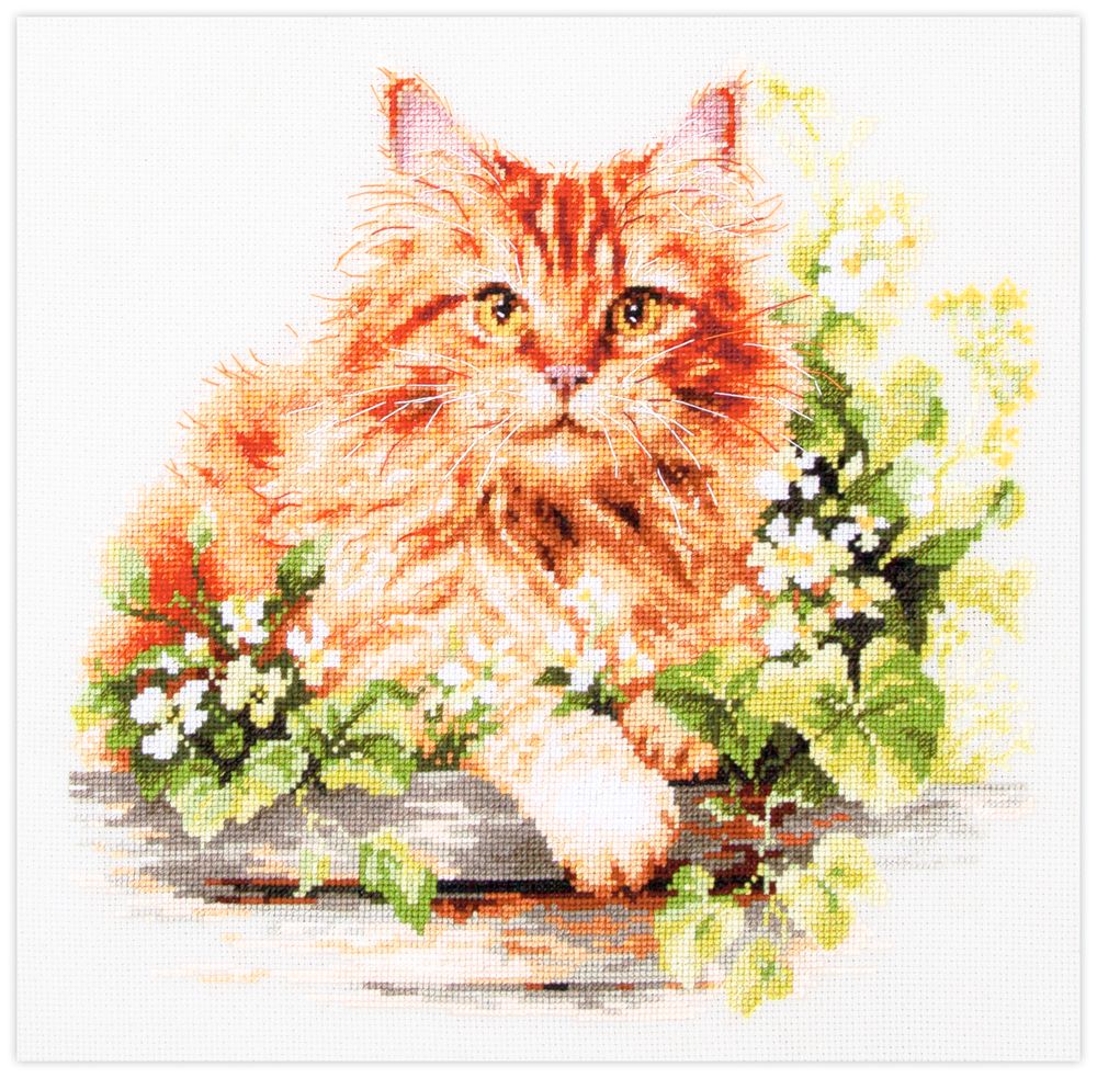 The Ginger Cat by Magic Needle 2025 Counted cross stitch kit