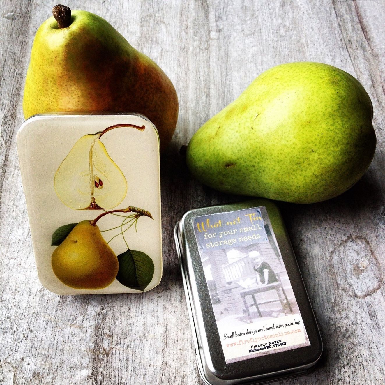 Botanical Pear Small Tin by Firefly Notes Vintage Slider Tin for Needles &amp; Notions