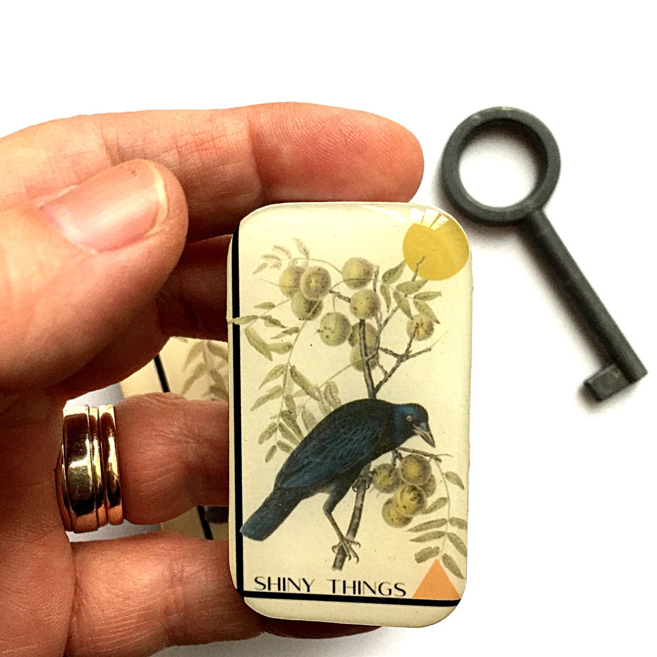 Crow Tin Small Tin by Firefly Notes Shiny Things Tin, Vintage Slider Tin for Needles &amp; Notions
