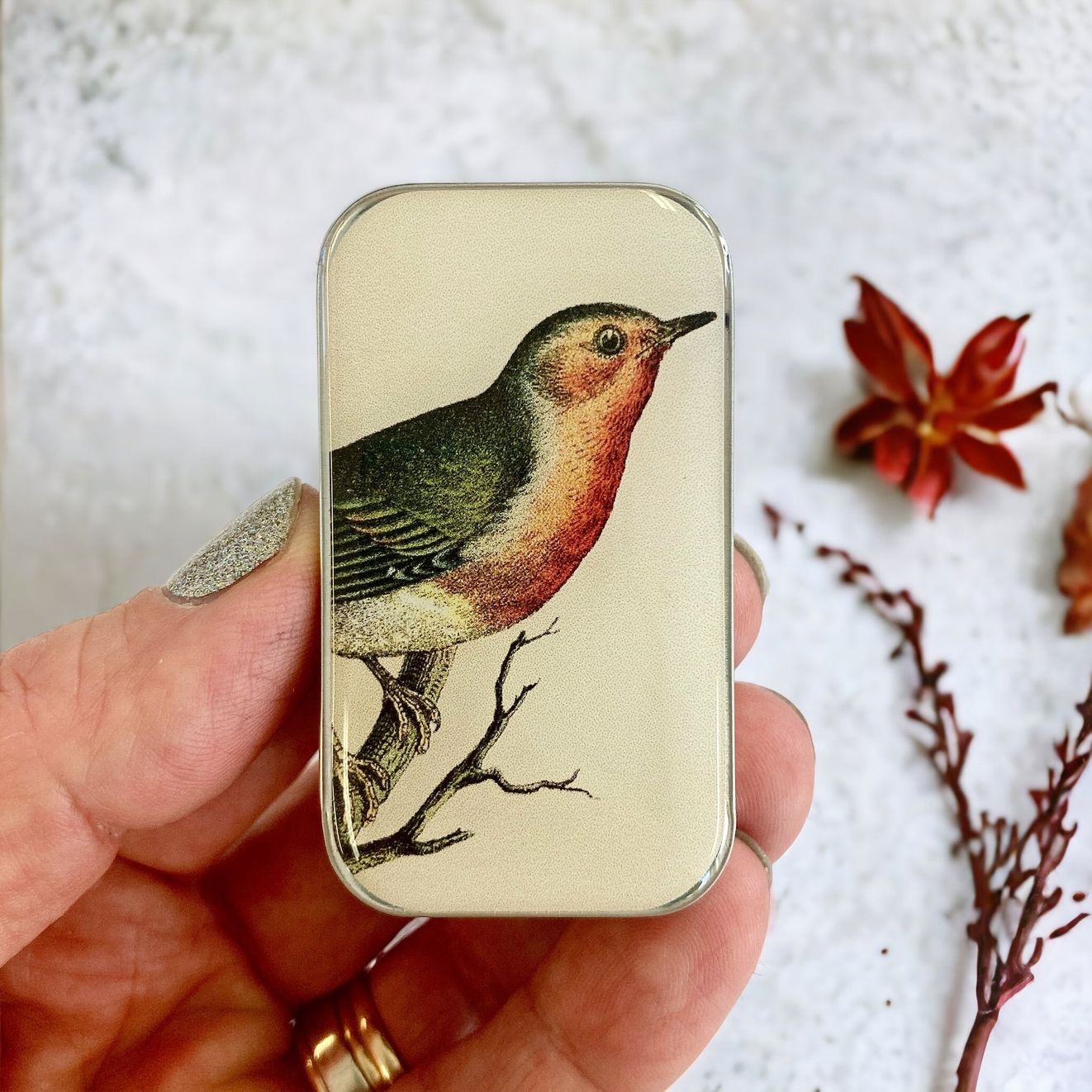 Robin Small Tin by Firefly Notes Vintage Slider Notions Tin
