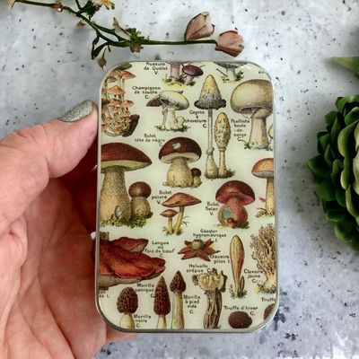 Mushroom Large Storage Tin by Firefly Notes Vintage Encyclopedia Art Slider Tin with Resin Top and Magnet