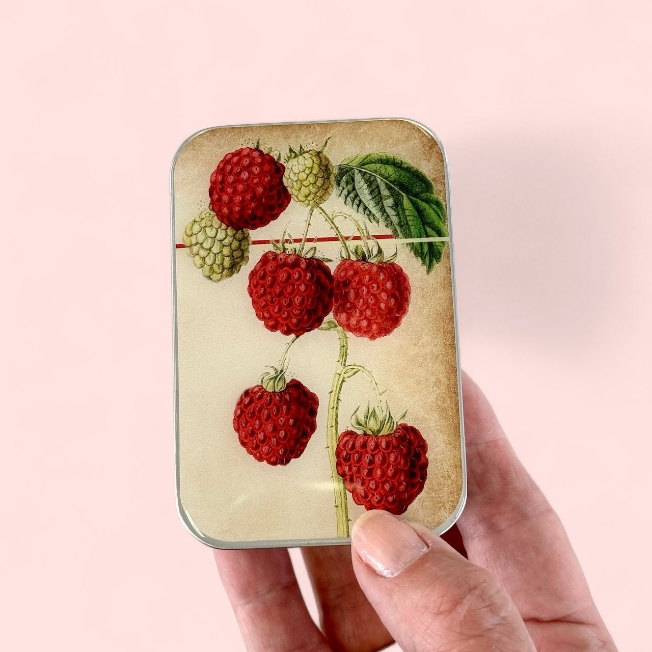 Raspberry Large Notions Tin by Firefly Notes Botanical Stitch Marker Tin with Resin Top and Magnet