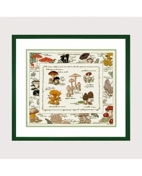 Mushrooms by Le Bonheur des Dames Flowers &amp; Plants Collection Counted cross stitch kit