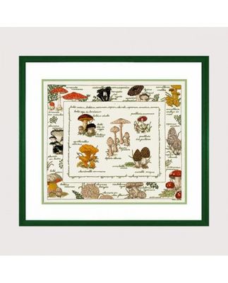 Mushrooms by Le Bonheur des Dames Flowers &amp; Plants Collection Counted cross stitch kit