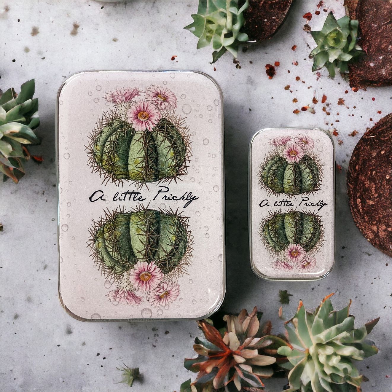 Cactus Small Tin by Firefly Notes Botanical Slider Tin for Needles &amp; Notions