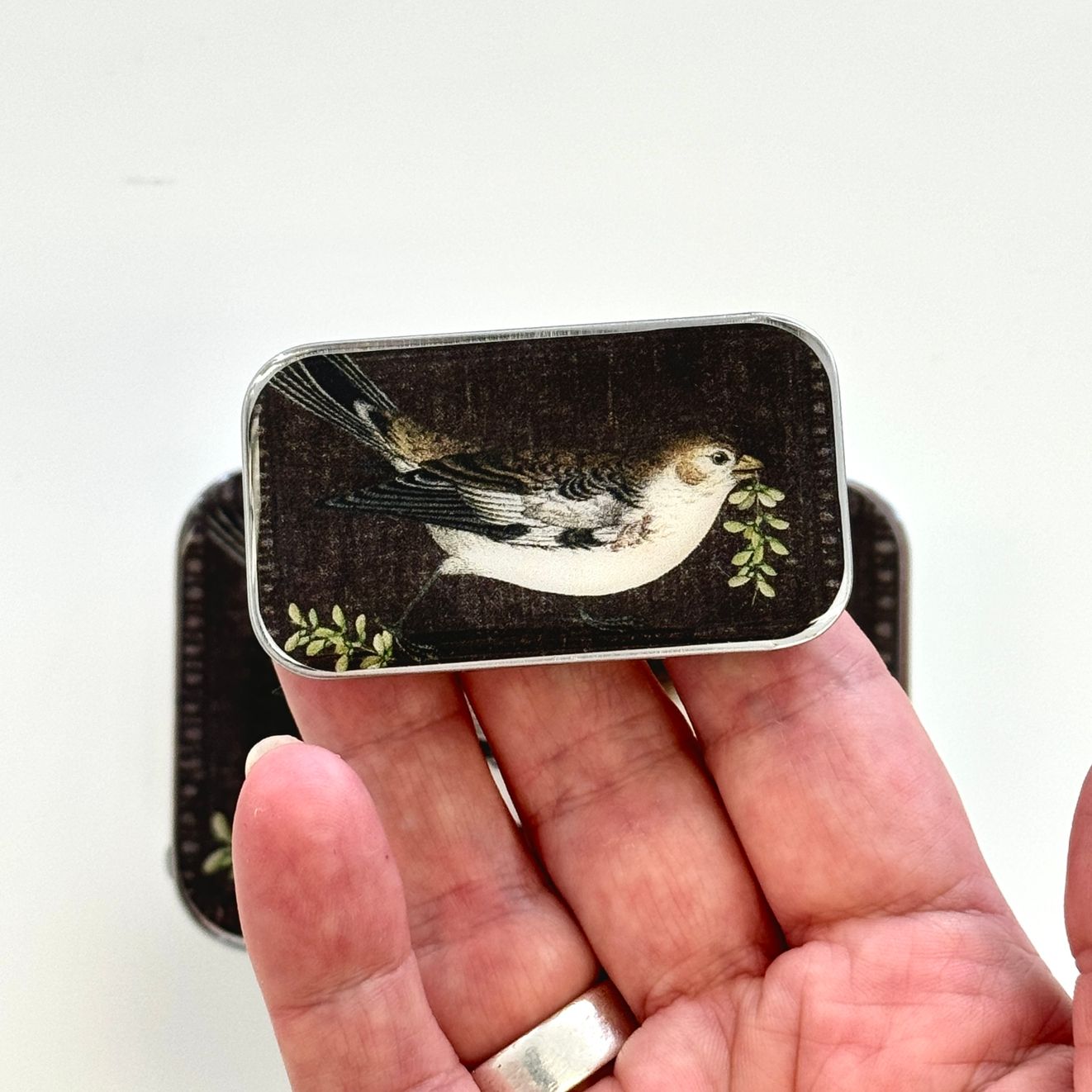 Birdsong Small Tin by Firefly Notes Shiny Things Tin, Vintage Slider Tin for Needles &amp; Notions
