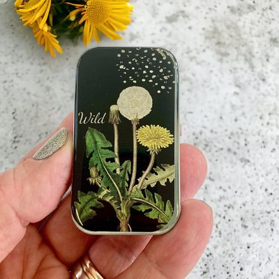 Dandelion Small Tin by Firefly Notes Floral Slider Tin for Needles &amp; Notions
