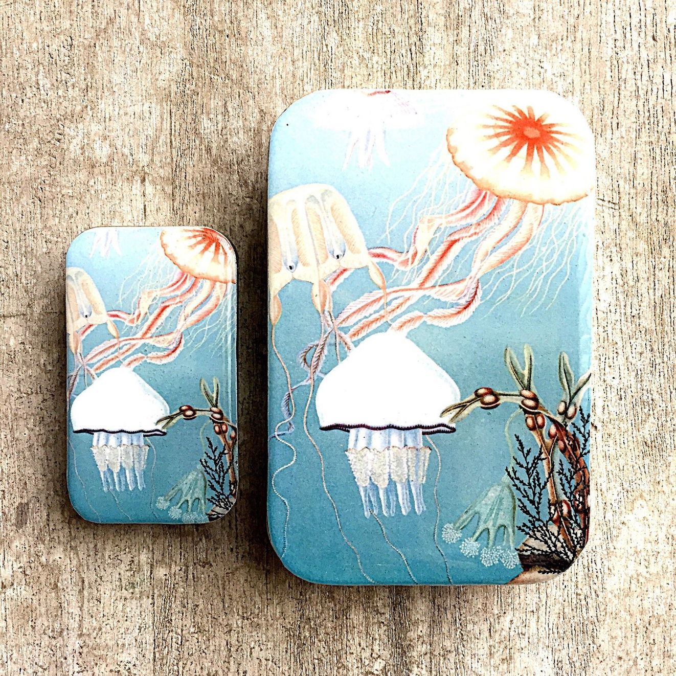 Jelly Fish Large Storage Tin by Firefly Notes Vintage Art Slider Tin with Resin Top