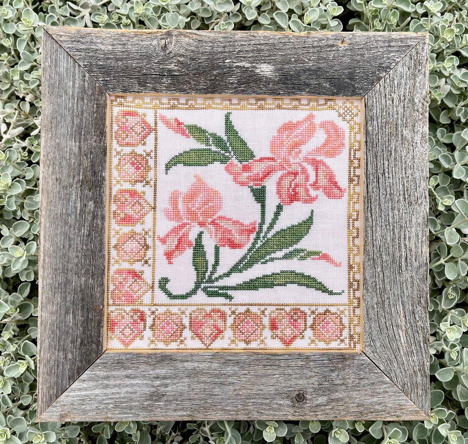 Florigraphica 2 - Iris by Jan Hicks Creates 2023 Florigraphica 2 Series Counted cross stitch pattern