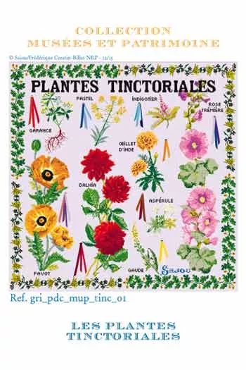 Tinctorial Plants and Flowers by Sajou (France) Museums and Heritage Collection Counted cross stitch pattern