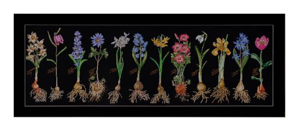 Bulbs by Thea Gouverneur Counted Cross Stitch