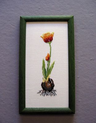 Tulip (Tulipan) by Oehlenschläger OOE-Design Counted Cross Stitch kit