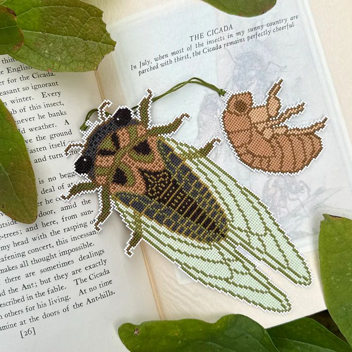 Cicada Season by Boomerang Stitches 2026 Printed Counted Cross Stitch pattern