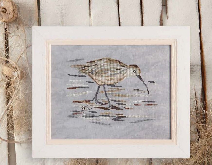 Le Courlis cendré (Eurasian curlew) by Isabelle Haccourt Vautier Collection Portnic Printed cross stich pattern