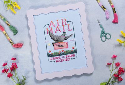 Air Mail by Fine Frog Stitching Exclusive Needlework Marketplace 2026 Printed Counted Cross Stitch pattern