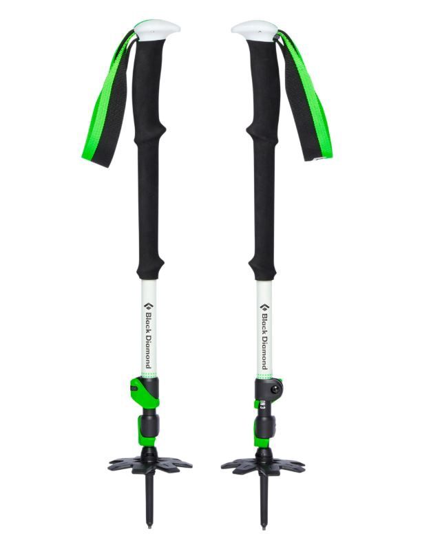Expedition 3 Ski Poles