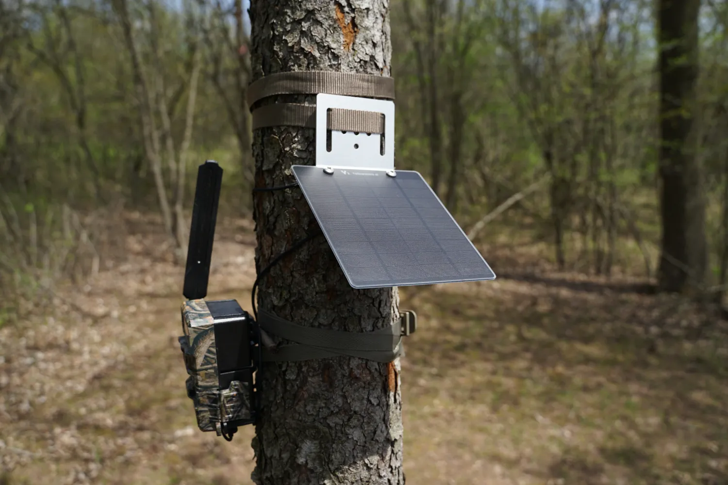 Y2 Solar Panel