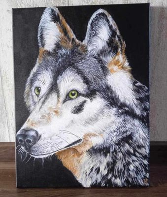 Wilk
