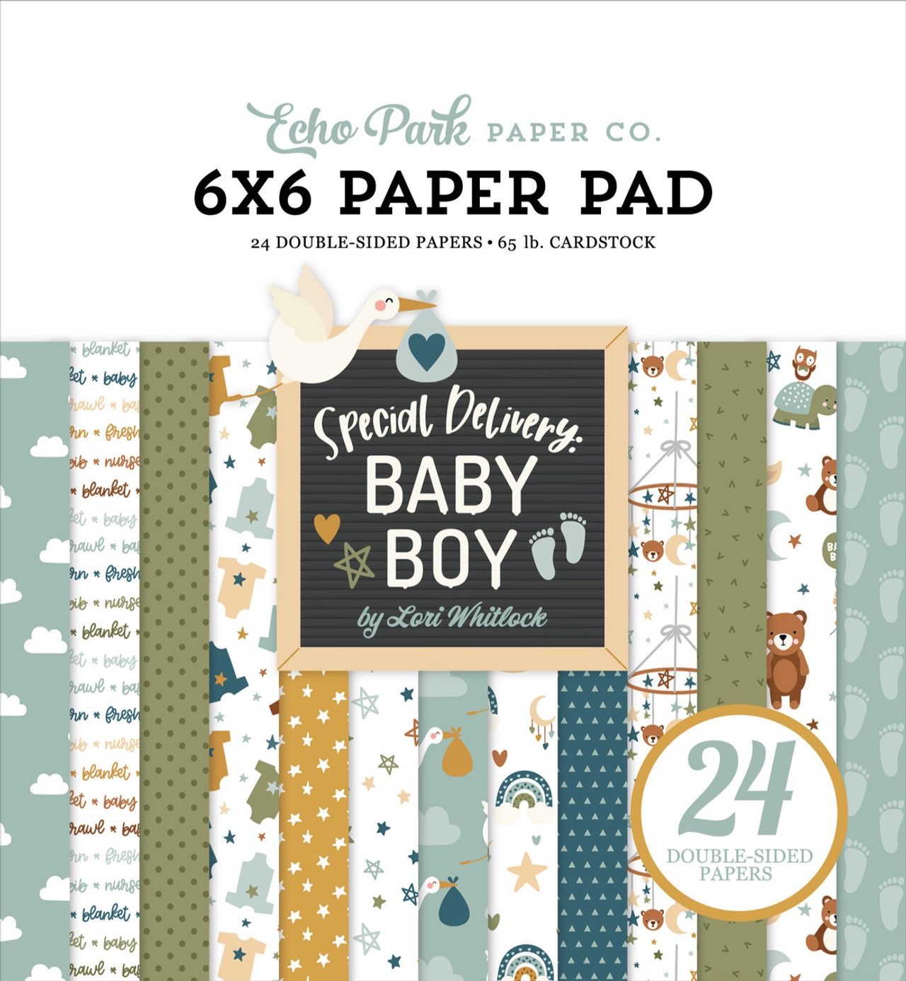 Special Delivery Baby Boy 6x6 Paper Pad