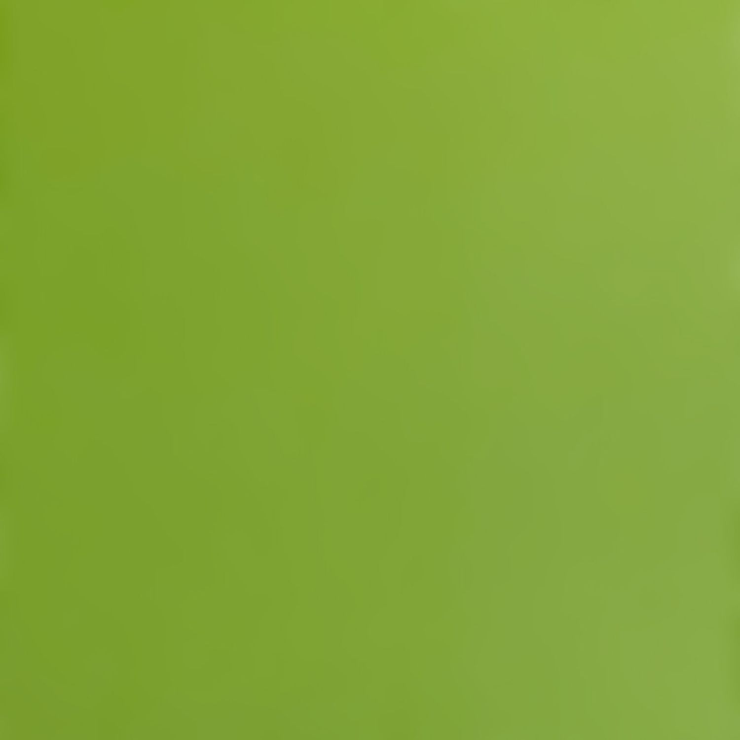 Grasshopper Cardstock 12x12