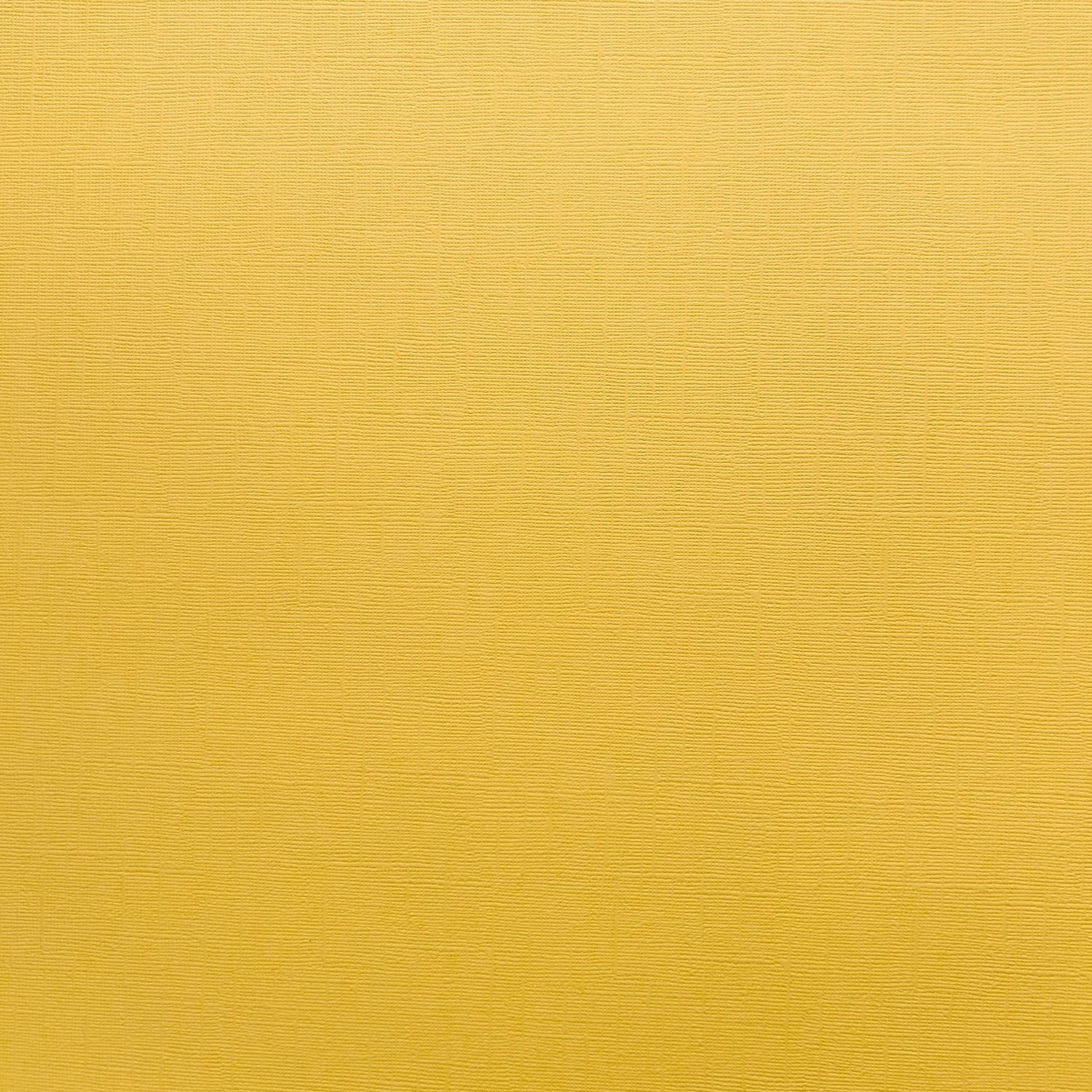 Maize Cardstock 12x12