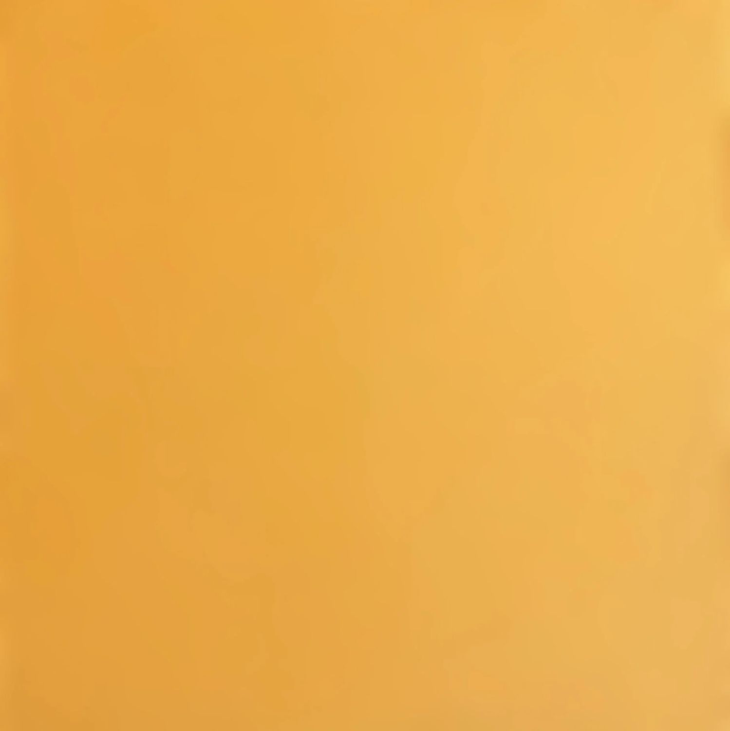 Beehive Smooth Cardstock