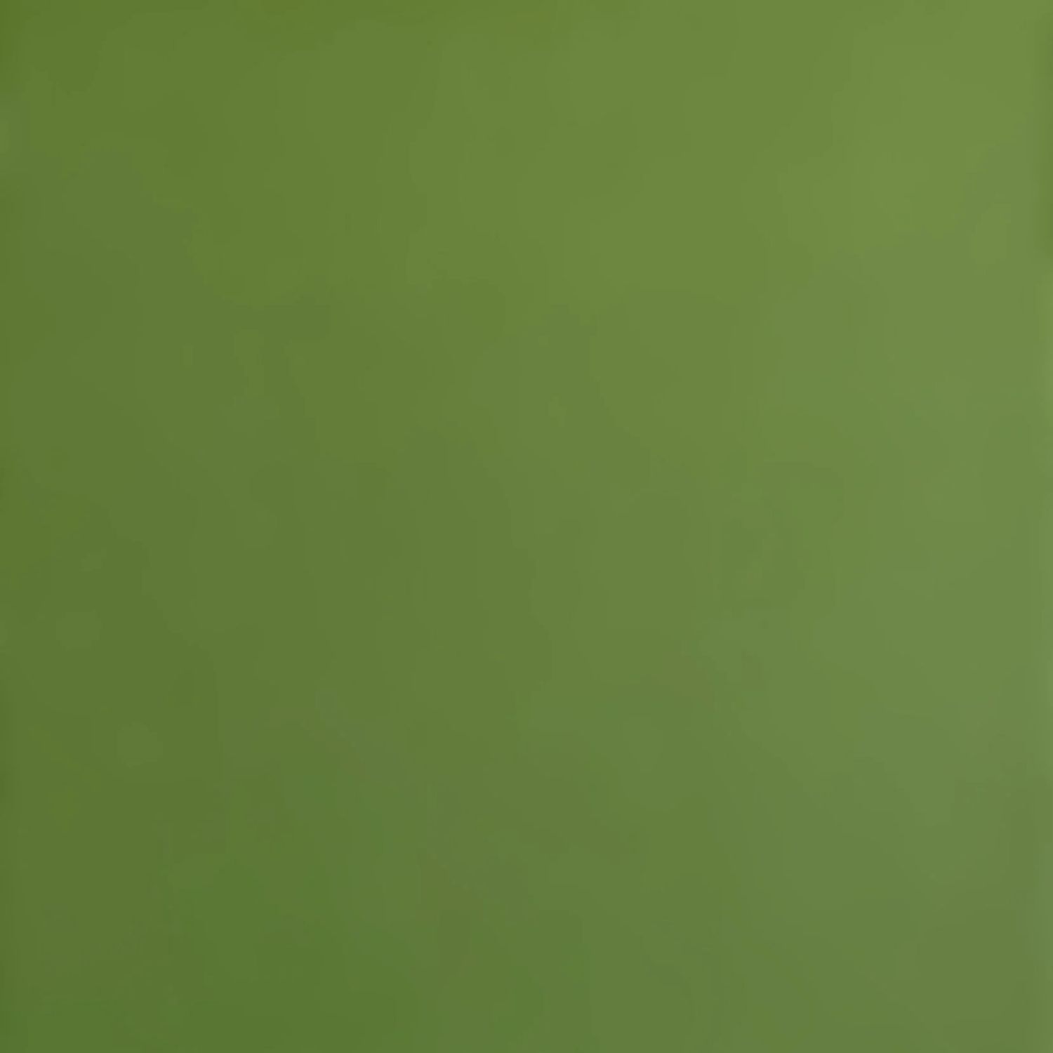 Forrest Moss Smooth Cardstock