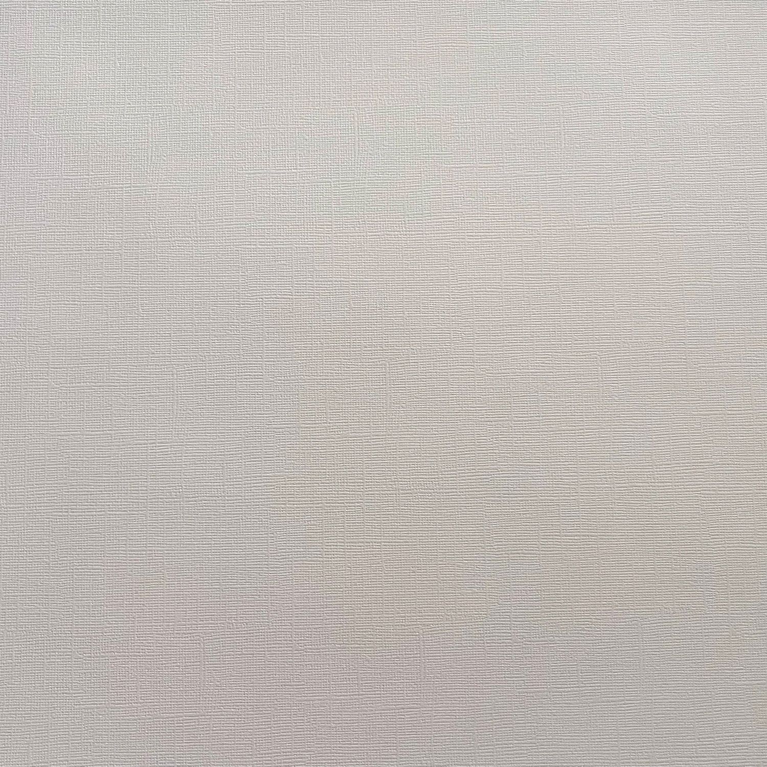 Cloud Veil Canvas Texture Cardstock