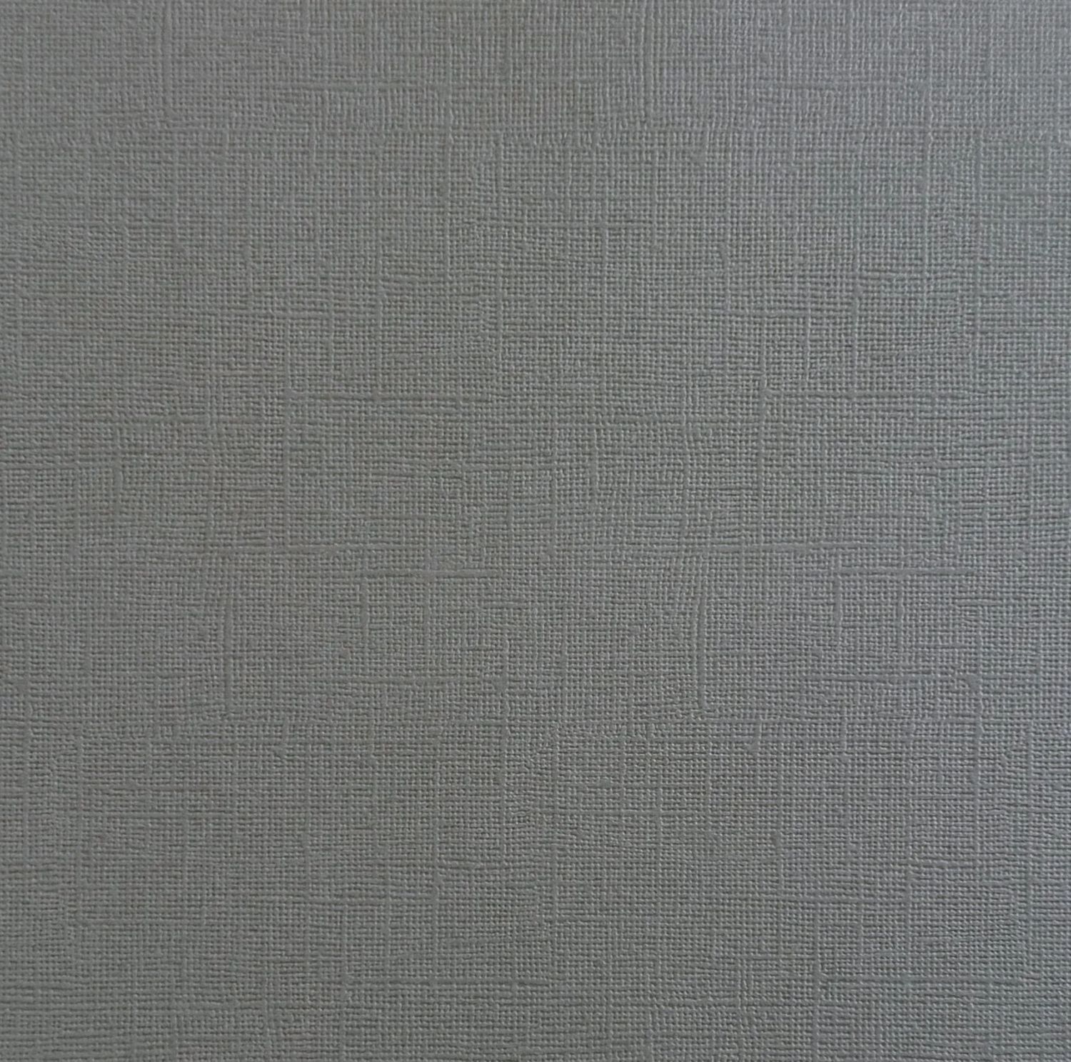 Dolphin Canvas Texture Cardstock