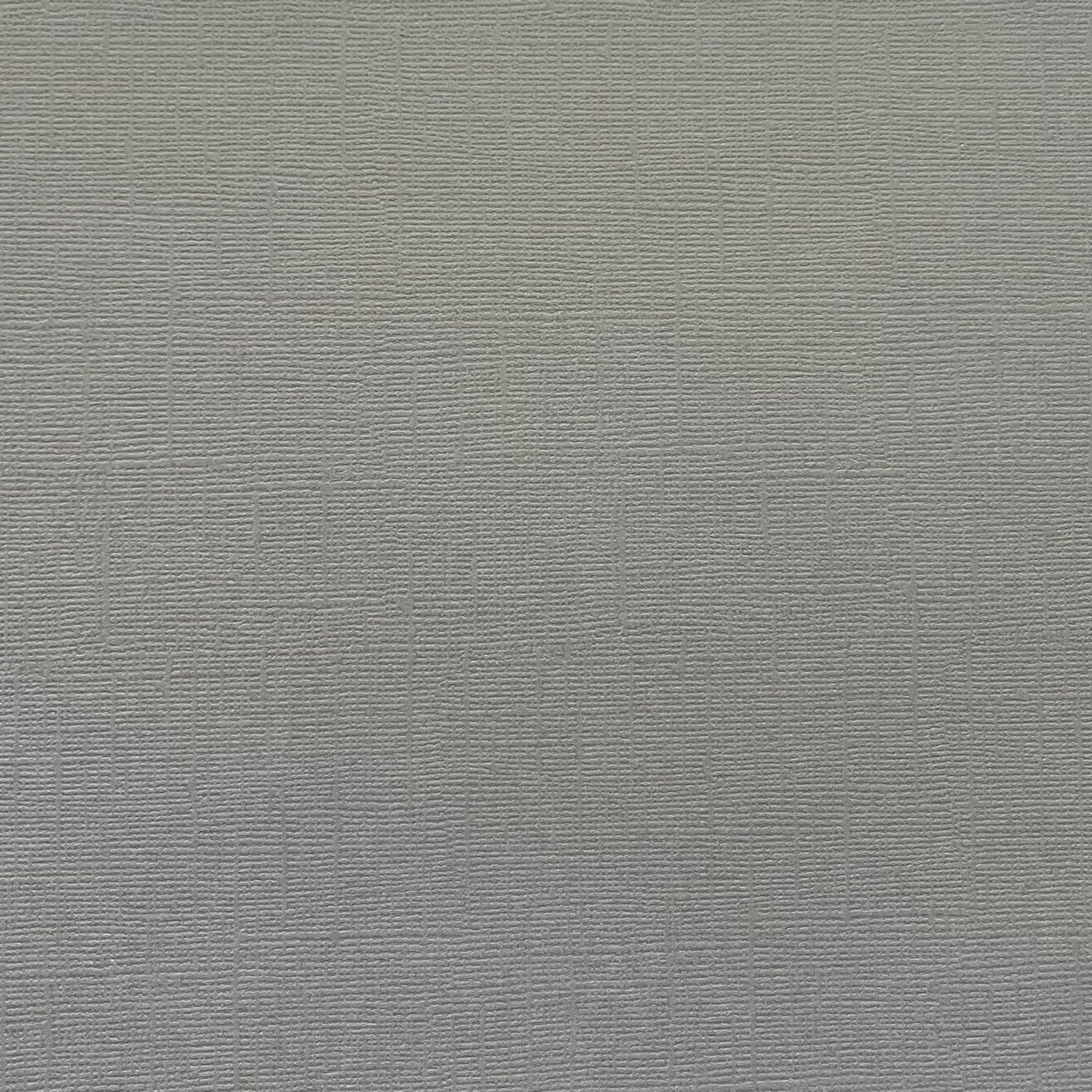 Cement Canvas Texture Cardstock