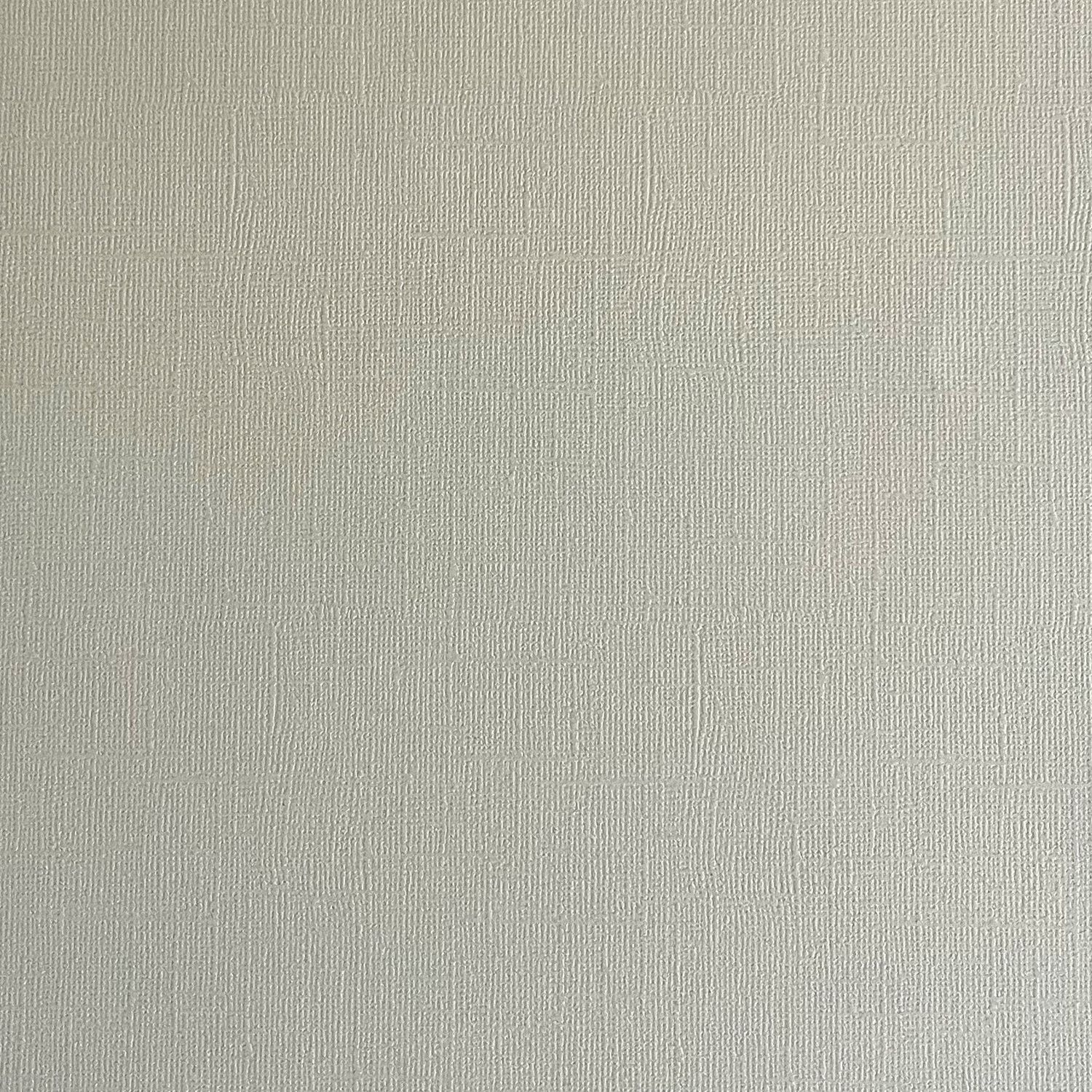 Sand Dollar Canvas Texture