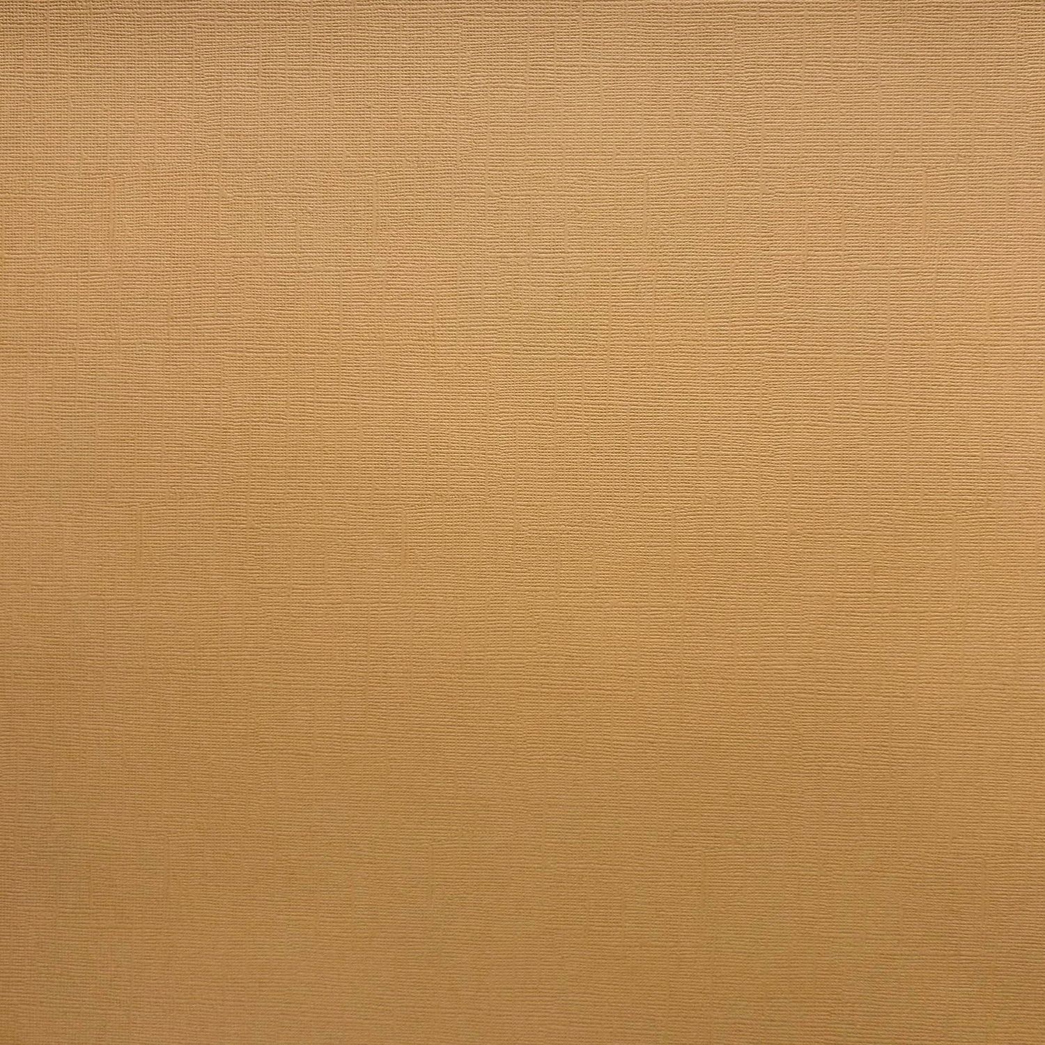 Peanut Butter Canvas Texture Cardstock