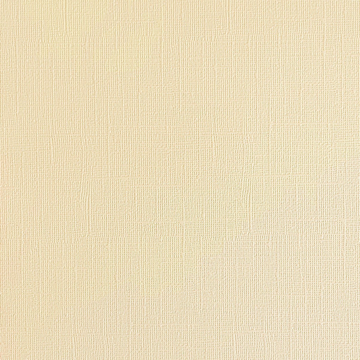 Vanilla Ice Cream Canvas Texture Cardstock