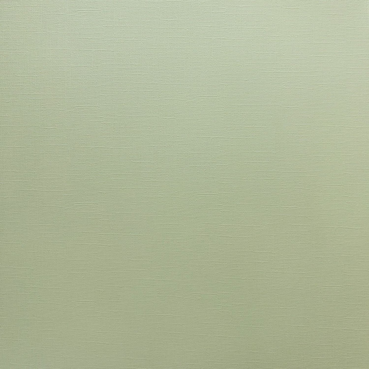 Pistachio Canvas Texture Cardstock