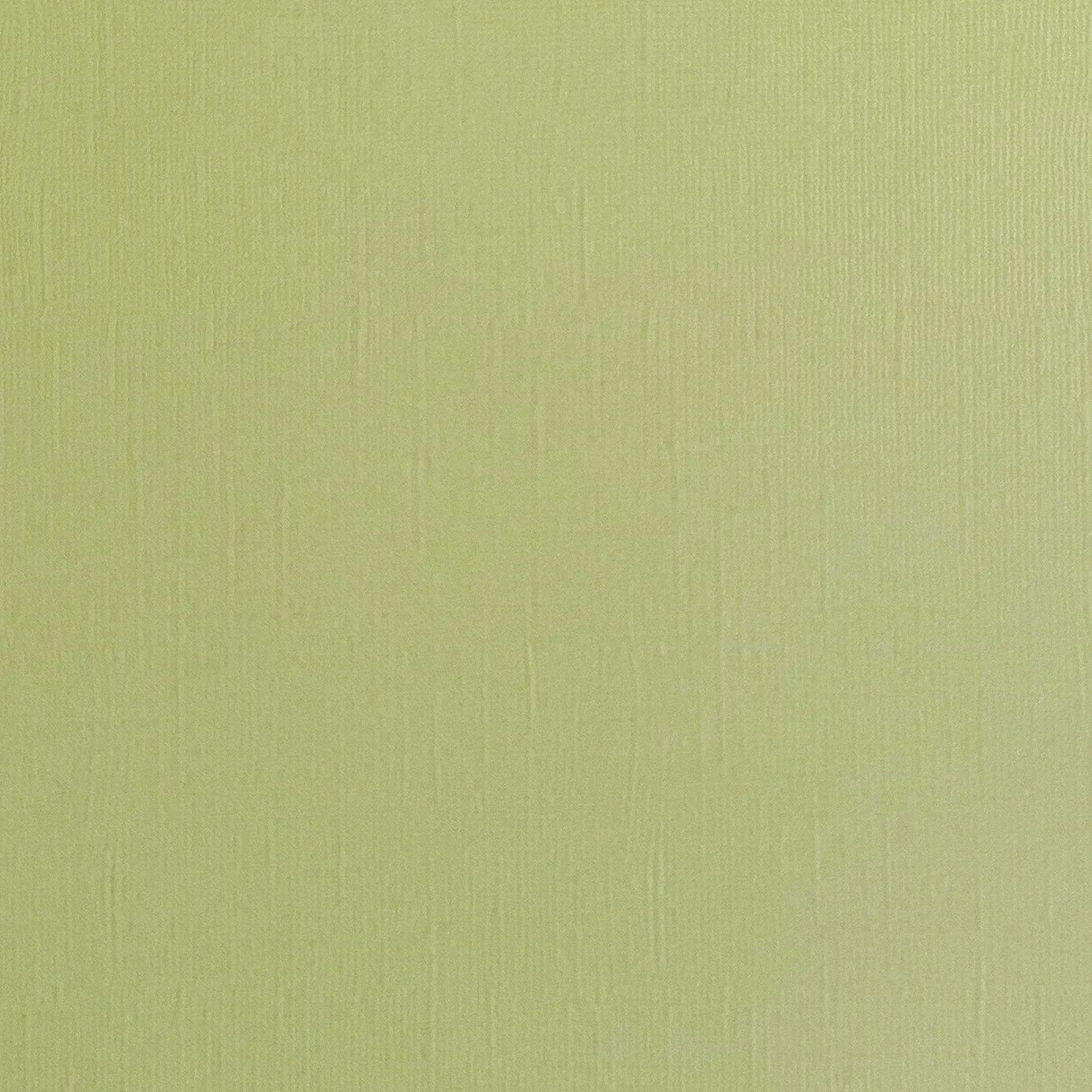 Tea Green Canvas Texture Cardstock