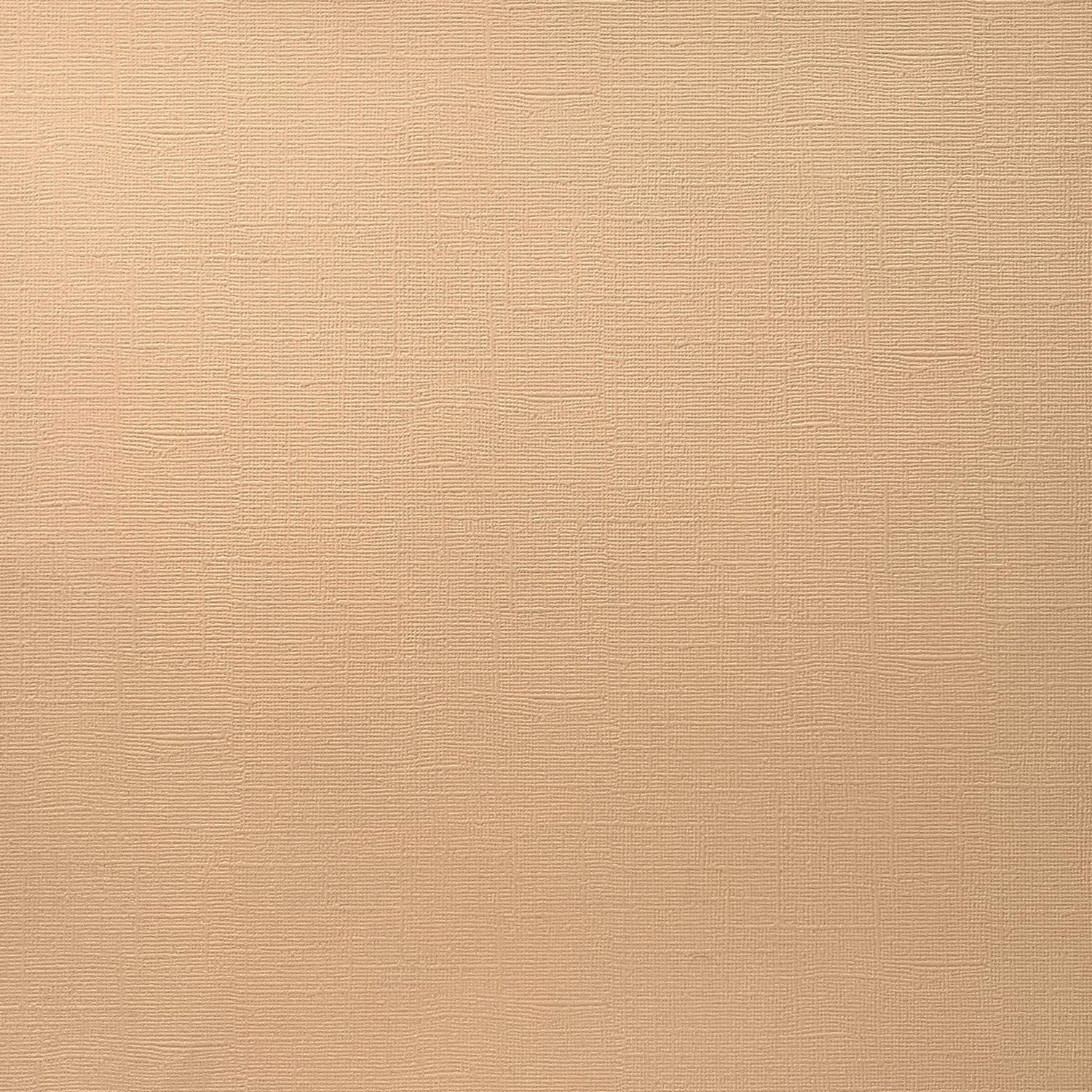 Porcelain Peach Canvas Texture Cardstock