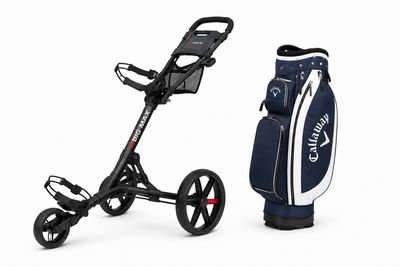 BAGS &amp; CARTS