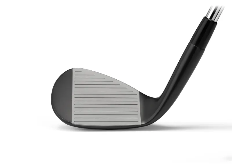 Mizuno Wedge Pro T-1