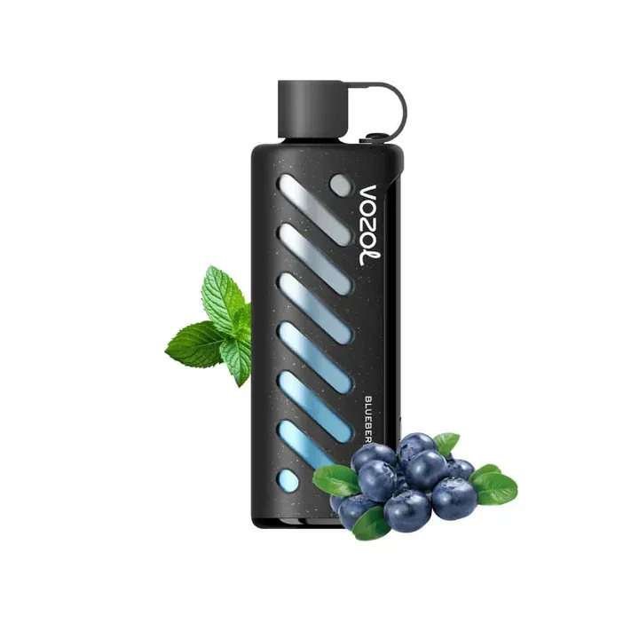 Vozol Gear Shisha 25000 Blueberry Mint (Yaban Mersini ve Nane Aromalı Vape) %100 Orijinal
