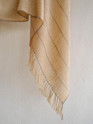 Handwoven Pure Pashmina Shawl- Beige and Grey With Tea and Harada
